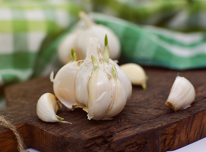 Garlic の意味 例文 発音 語源 イメージ画像 Toefl Kotoba