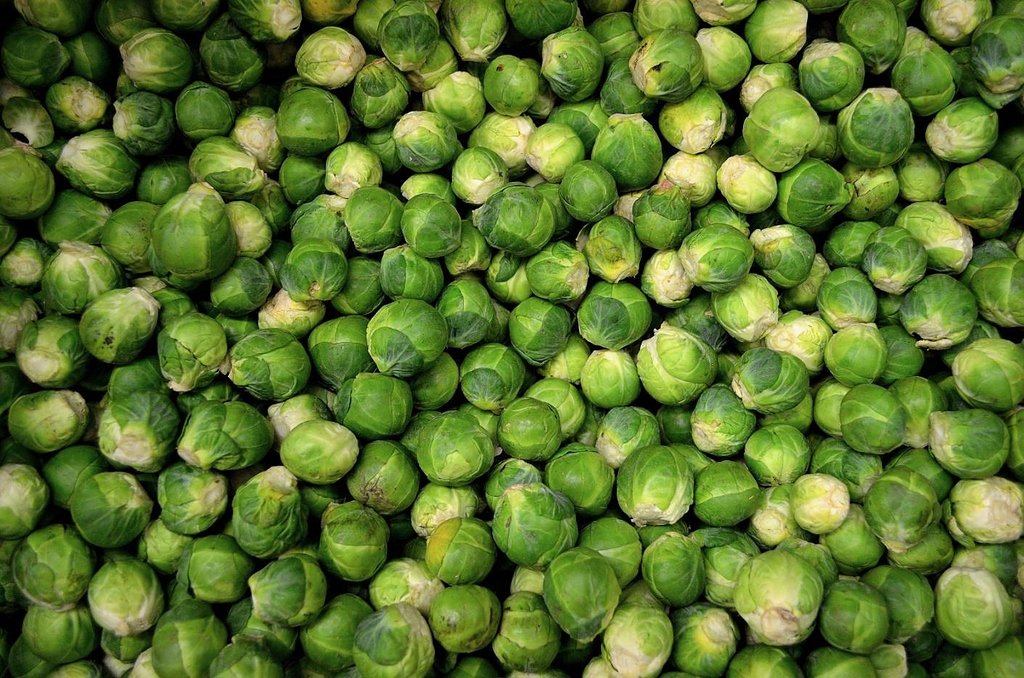 Brussels sprouts の意味・例文・発音・語源・イメージ画像 KOTOBA