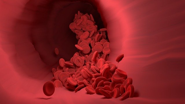 red-blood-cell-4256710_640