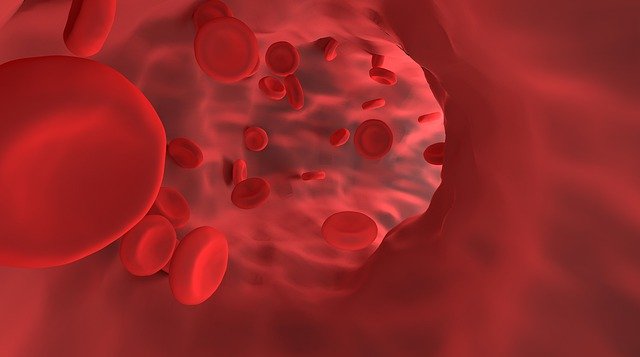 red-blood-cell-4807218_640